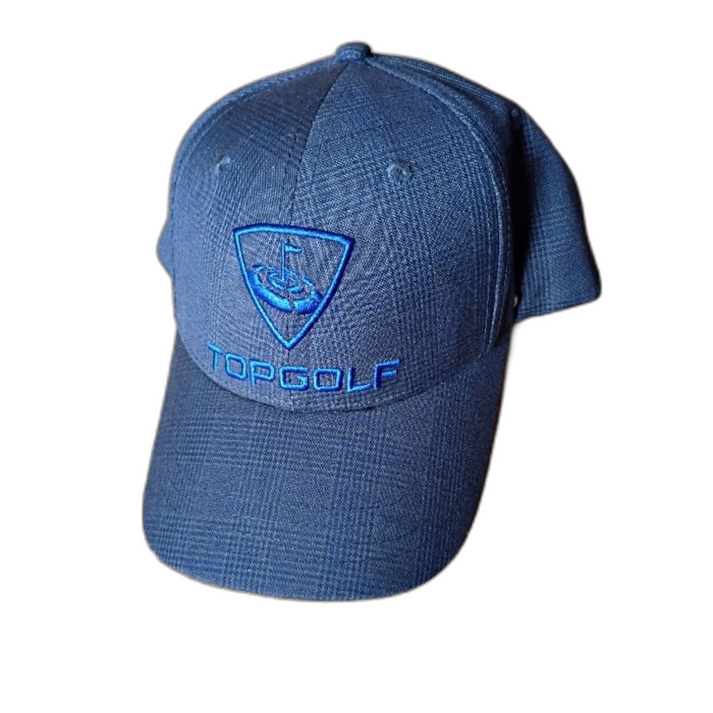 Topgolf Blue Plaid Snapback Hat Like New Embroidered Logo Adjustable Cap